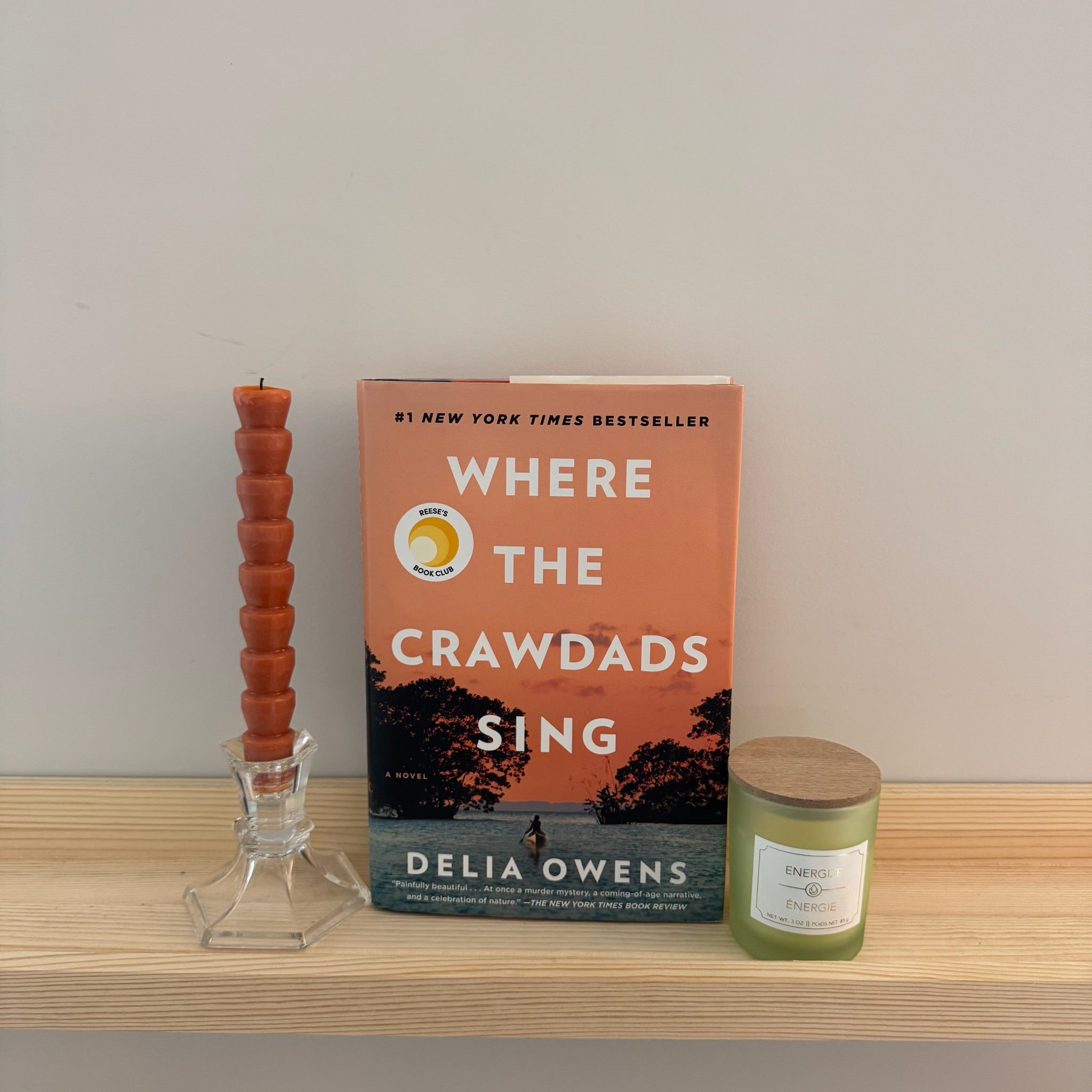 Where the Crawdads Sing: Owens